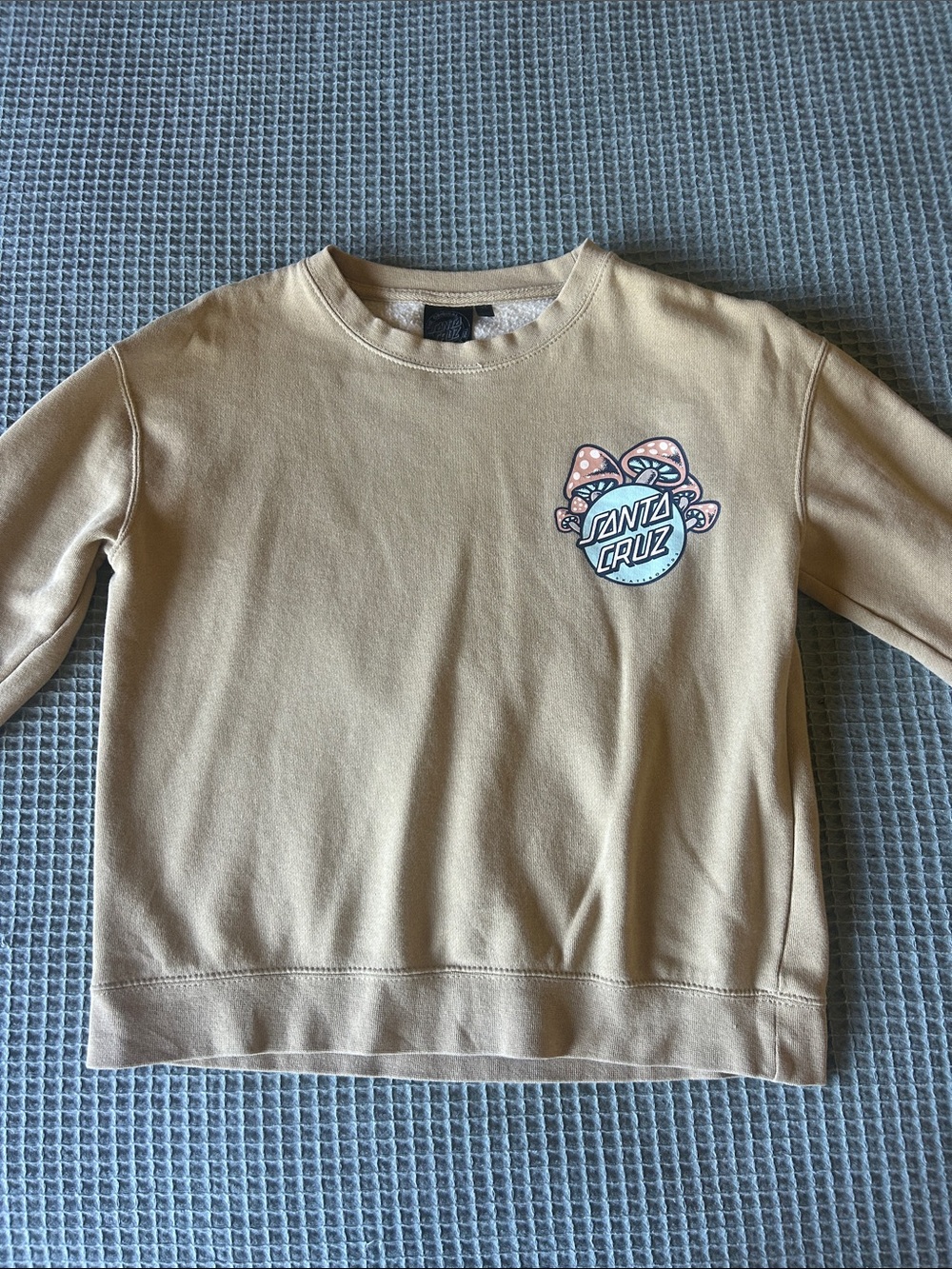 Santa Cruz Skateboards Girls crewneck